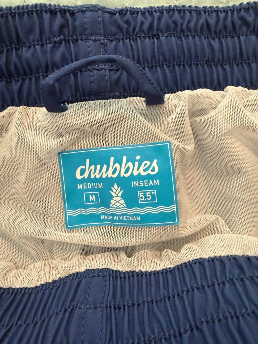Chubbies Neon Stripe Swim Trunks